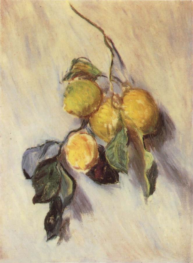 Claude Monet Branch from a Lemon Tree